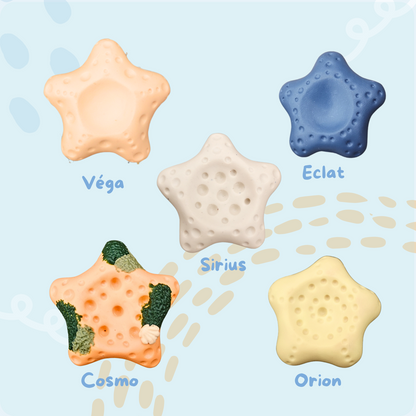 Le gang des Etoiles de mer